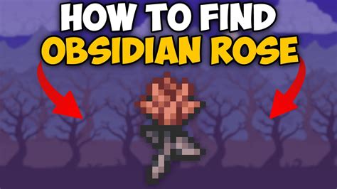 obsidian rose terraria drop chance.